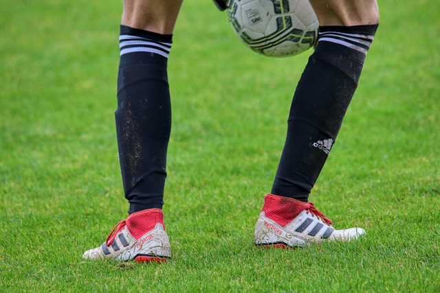 其影迷对于 其影迷对于