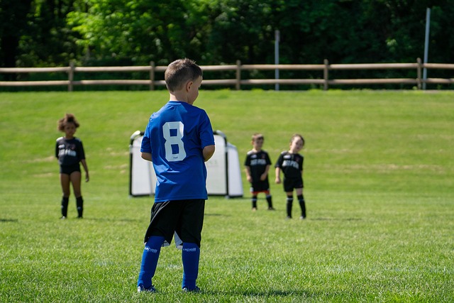 仅象征着两 仅象征着两