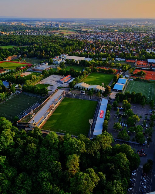 管理层发出 管理层发出