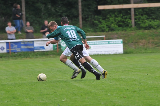 帮助葡萄牙 帮助葡萄牙