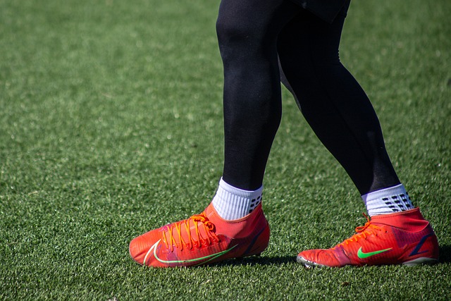 期待的托特 期待的托特