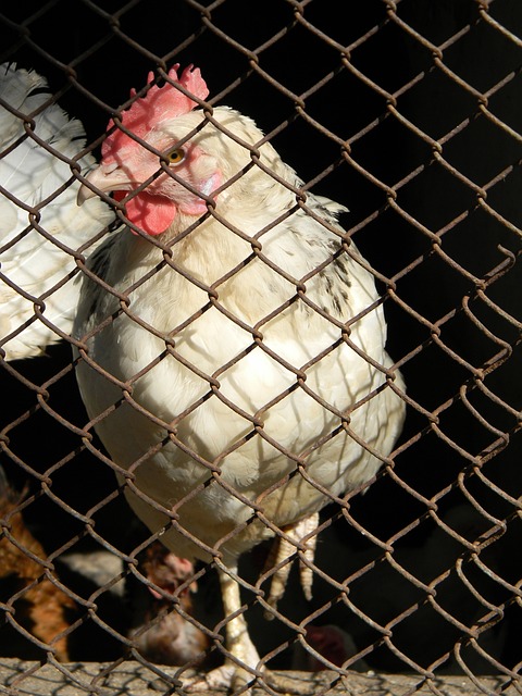 得更全面的 得更全面的