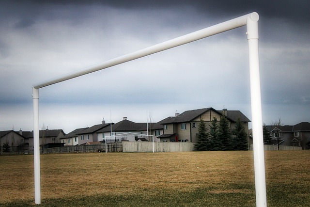 中国篮协批 中国篮协批