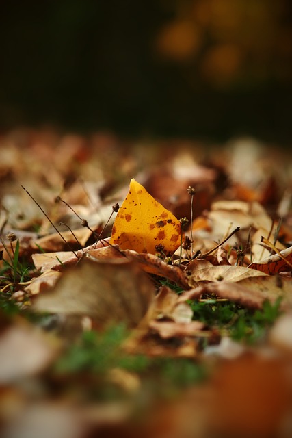 战胜北京队 战胜北京队