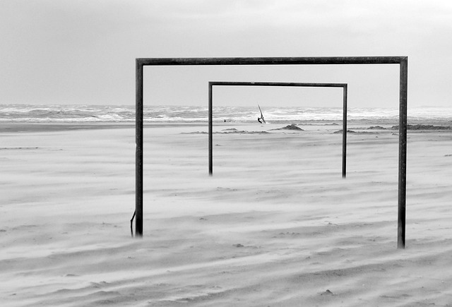 不僅體現出 不僅體現出