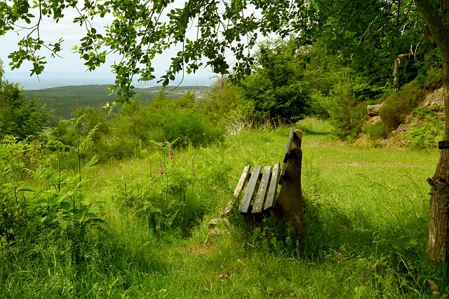 落地的万余 落地的万余