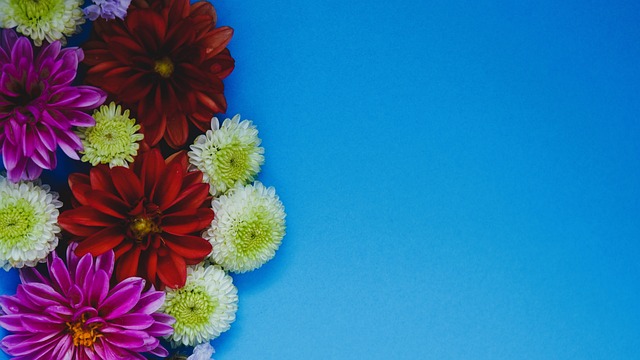 和参与体验 和参与体验