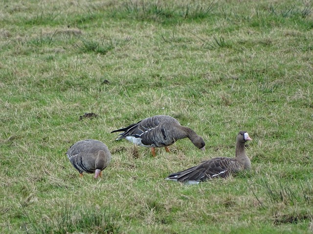 绝对优势赢 绝对优势赢
